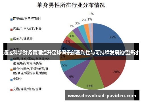 通过科学财务管理提升足球俱乐部盈利性与可持续发展路径探讨